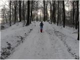 Stara Vrhnika - Koča na Planini nad Vrhniko